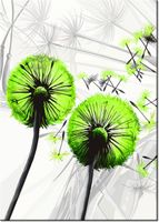 60CM 50CM OBRAZ ŚCIENNY DMUCHAWCE KOLORZE LIMONKI DRUK PŁÓTNO