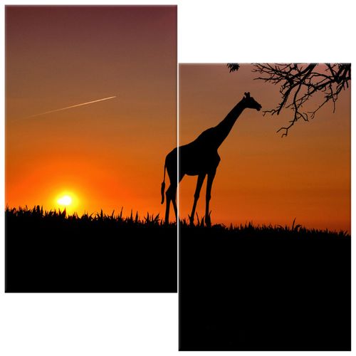 Obraz Płótno 60X60 Młoda Żyrafa na Arena.pl