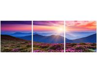 90X30CM GÓRSKA ŁĄKA TRÓJ OBRAZ