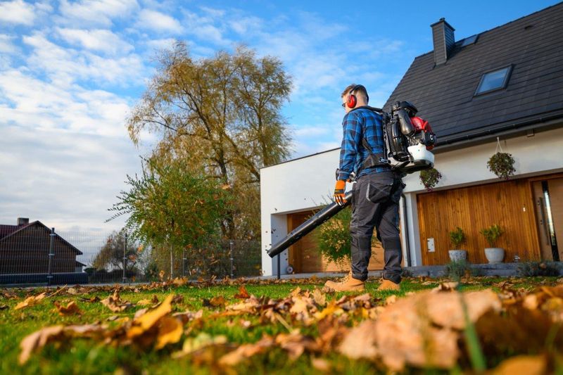 CEDRUS DM05 PRO PROFESJONALNY ODKURZACZ  DMUCHAWA SPALINOWA OGRODOWA DO LIŚCI - OFICJALNY DYSTRYBUTOR - AUTORYZOWANY DEALER CEDRUS zdjęcie 35