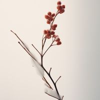 Plakat 70x70cm Subtelna Siła Zimy