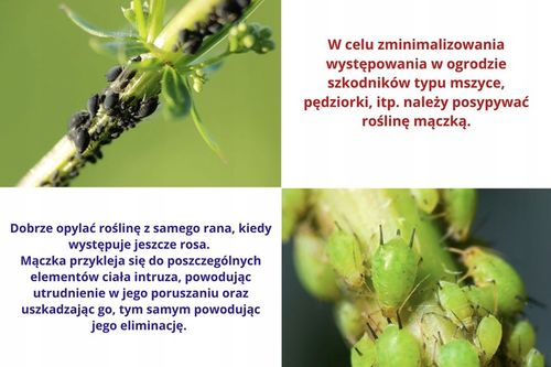 Mączka bazaltowa naturalny nawóz do roślin warzyw 19,5 kg na Arena.pl