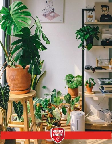 SANIUM PIN 2w1 Pałeczki Owadobójcze + Nawozowe na Ziemiórki Tarczniki na Arena.pl