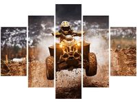 OBRAZ OFFROAD QUAD