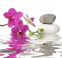 FOTOTAPETA KWIATY STORCZYK WODA LILIA KAMIENIE