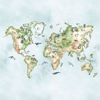 Tapeta Mapa W18 270 cm płótno