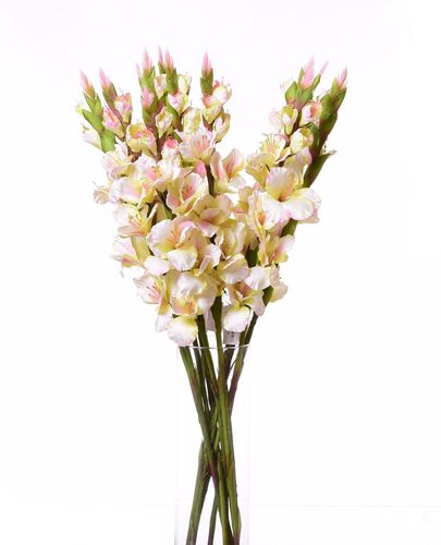 Mieczyk jasno zielony 84cm na Arena.pl