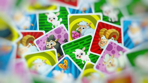 Gra Owce na manowce na Arena.pl