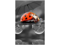 40X60CM SPACEREK OBRAZ