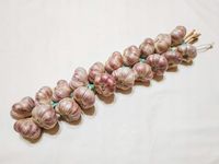 Warkocz 20 główek średnica 60-65 mm czosnek polski Harnaś