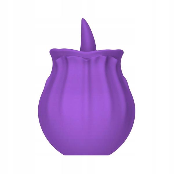 Purple Rose zdjęcie 6