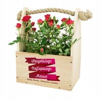 product-compare-53639425