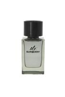 burberry mr. burberry edt 100ml