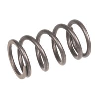 Sprężyna zaworu Rato silnik R80i 12103-Z800110-00A0