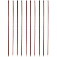 Podpora Do Roślin Kwiatów Palik Impregnowany 10szt