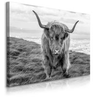 product-compare-59799907