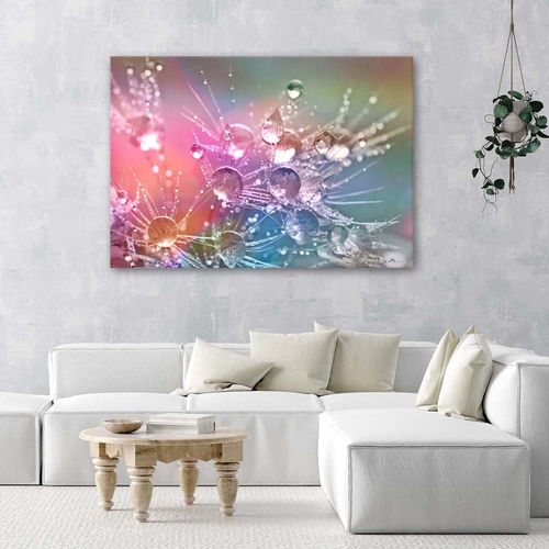 OBRAZ NA PŁÓTNIE Dmuchawiec Krople Kwiaty na Arena.pl