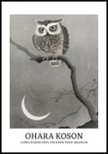 Plakat 70x100cm Design Long-Eared Owl, Koson Vintage do Salonu