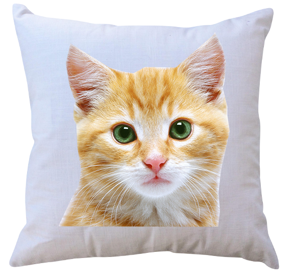 Poduszka Koty zdjęcie 1