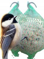 KULE TŁUSZCZOWE 50 SZT PYZY DO KARMNIKA SŁONECZNIK DLA PTAKÓW GRATIS 5