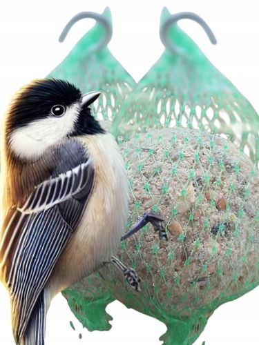 KULE TŁUSZCZOWE 50 SZT PYZY DO KARMNIKA SŁONECZNIK DLA PTAKÓW GRATIS 5 na Arena.pl