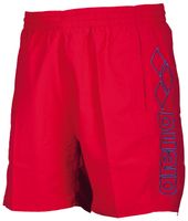 Spodenki szorty męskie Arena Berryn r.S