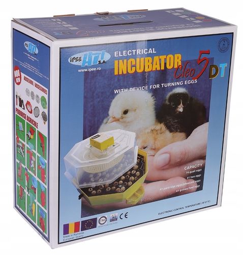 INKUBATOR CLEO 5DTHE 60/41 JAJ WYLĘGARKA KLUJNIK LCD TERMOMETR TACA na Arena.pl