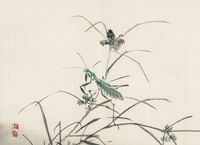 Plakat 55x40cm Grasshopper, Kōno Bairei Japoński Vintage do Salonu