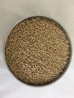Pasza karma dla gęsi kaczek bez GMO NATURALNA wysokie parametry żywieniowe