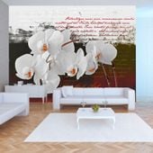 Fototapeta - Pamiętnik i orchidea 300x210