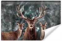 Fototapeta Do Salonu Dzikie Zwierzęta JELEŃ Las Efekt 3D 360cm x 240cm