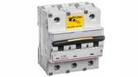 LEGRAND WYŁĄCZNIK NADPRĄDOWY S313 C100A DX3 409281