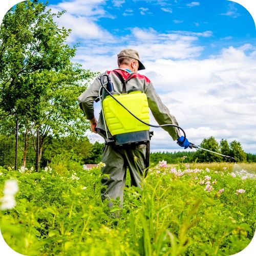 Monsanto Roundup Plus 360 SL 5l Chwasty Randap na Arena.pl