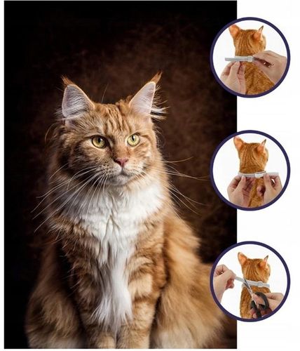 OBROŻA NA PASOŻYTY DLA KOTÓW 40CM 8 MIESIĘCY NATURALNE OLEJKI na Arena.pl