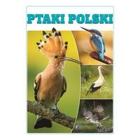 ptaki polski album twarda oprawa 32 strony