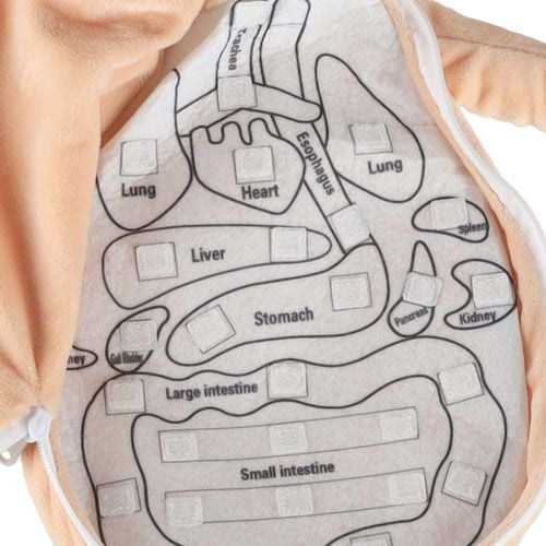 INTERAKTYWNA LALKA EDUKACYJNA DO NAUKI ANATOMII na Arena.pl