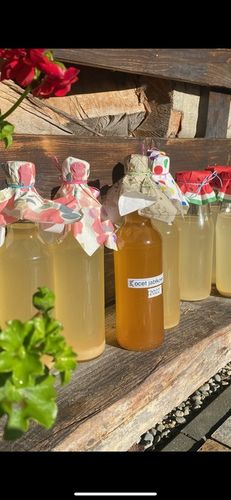 OCET JABŁKOWY NIEPASTERYZOWANY EKOLOGICZNY DOMOWY MATKA OCTOWA 500ml na Arena.pl