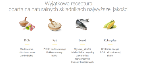 josera culinesse 2kg na Arena.pl