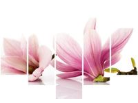 70 100CM OBRAZ 5 ELEM RÓŻOWE MAGNOLIE DRUK PŁÓTNO