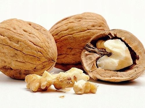 ORZECH WŁOSKI JACEK OGROMNE owoce 2 LETNI DUŻA SADZONKA na Arena.pl