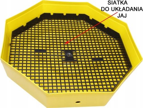 INKUBATOR 60 JAJ WYLĘGARKA KLUJNIK Cleo 5 na Arena.pl