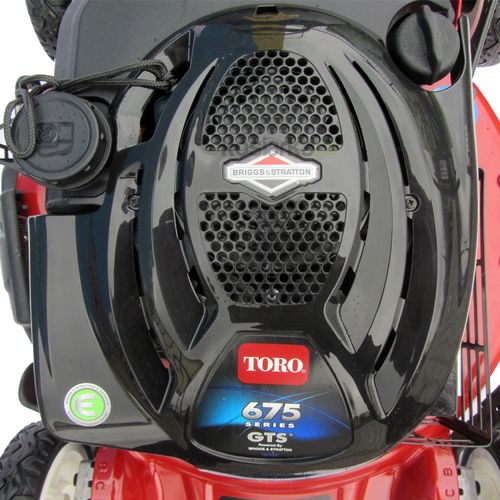 TORO 20792 na Arena.pl