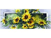 product-compare-58614358