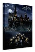 Harry Potter (Hogwarts School) - Obraz na płótnie 60x80 cm