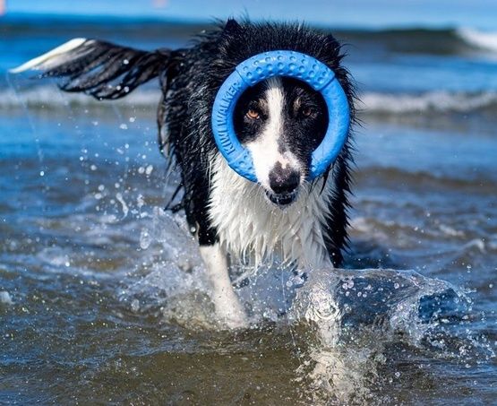 Kiwi Walker Let's Play Ring Mini niebieski zdjęcie 4