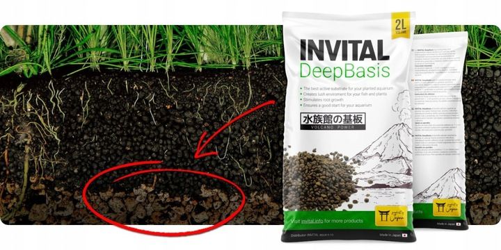 INVITAL DeepBasis 2l podłoże odżywcze pod żwir zdjęcie 9