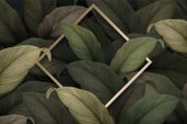 FOTOTAPETA liście monstera paproci rośliny 200x130