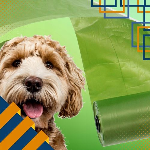 WORECZKI BIODEGRADOWALNE NA PSIE ODCHODY BIO WORKI NA KUPY PSA 360 SZT ETUI na Arena.pl