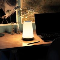 LAMPKA STOŁOWA RGB 13 KOLORÓW Z PILOTEM REGULACJĄ JASNOŚCI I TIMEREM