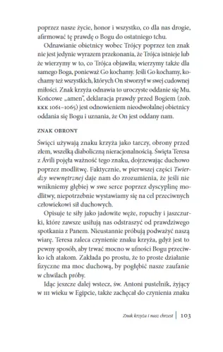 Ogień z nieba. Dar kontemplacji na Arena.pl